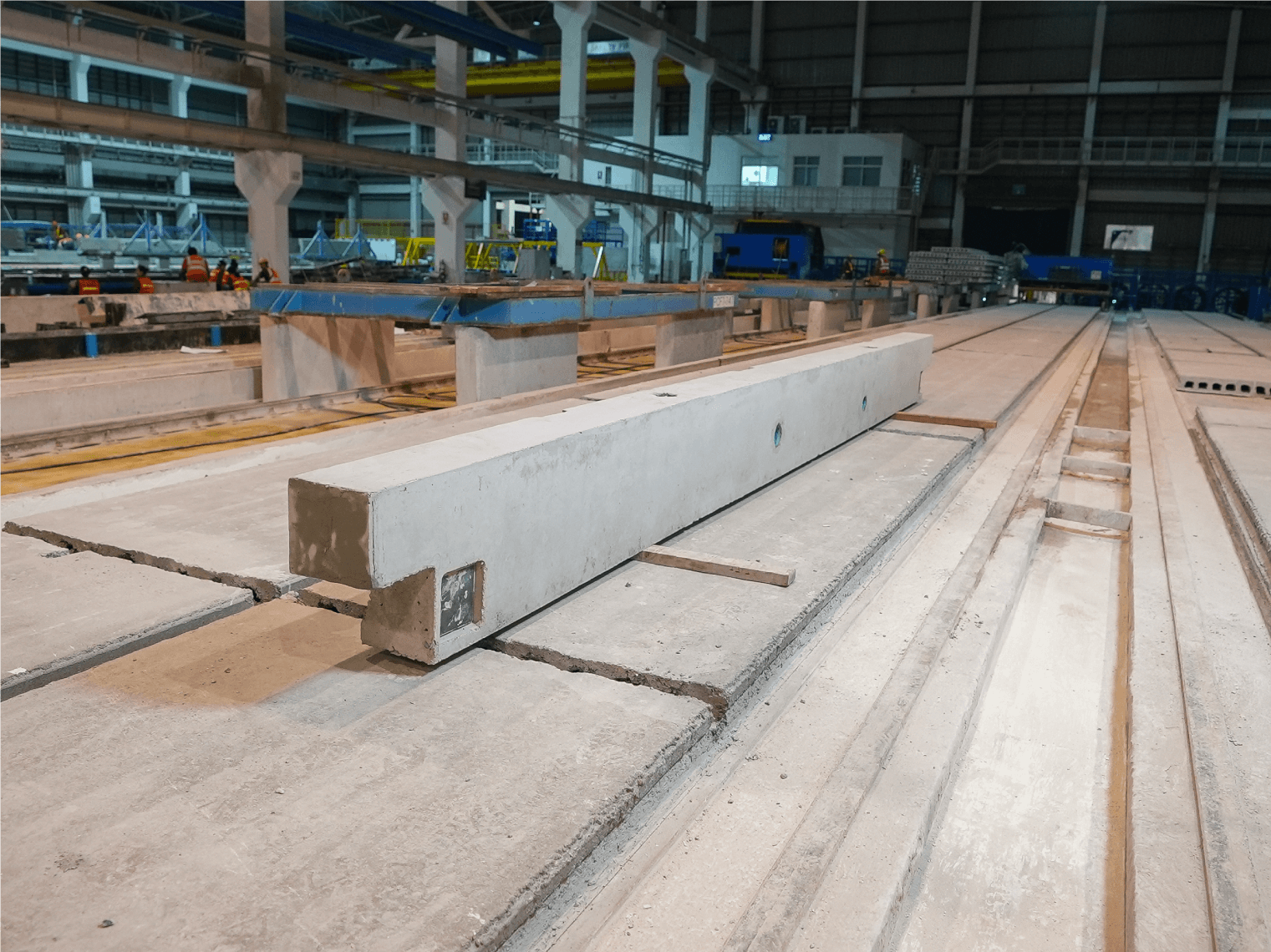 มิวส์ เทียนทะเล